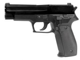 ACM 228 Spring Pistol (Heavy Weight - Polymer) (Black)